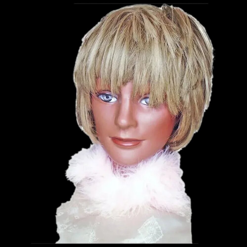 Shaggy Frosted Wig, Carousel Shag Glam Rock Tina Turner Hair - 70s Vintage - Picture 2 of 15